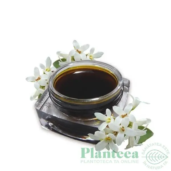 Absolut osmanthus 1ml - ELLEMENTAL | Produs lansat recent